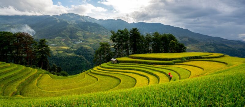 De l'Himalaya aux volcans d'Indonésie : le continent de tous les paysages