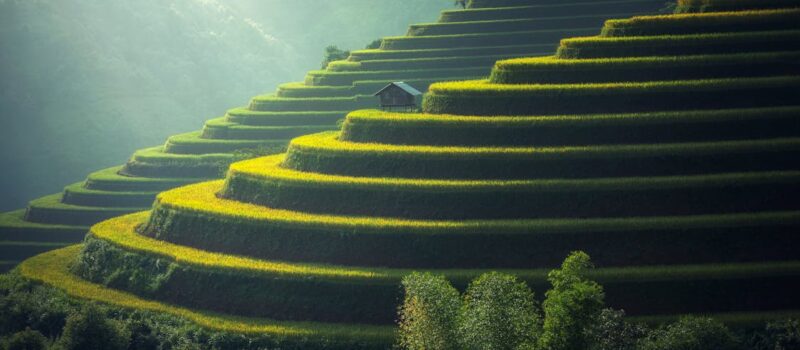 Du Tonlé Sap aux Cardamomes : un pays sculpté entre eau douce et jungle