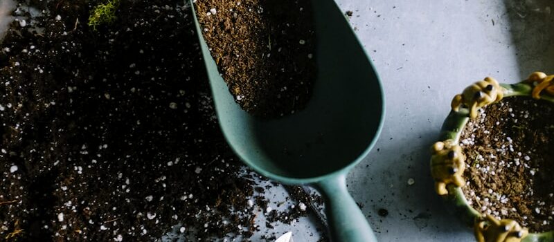 Jardin : toutes nos idées de cadeaux