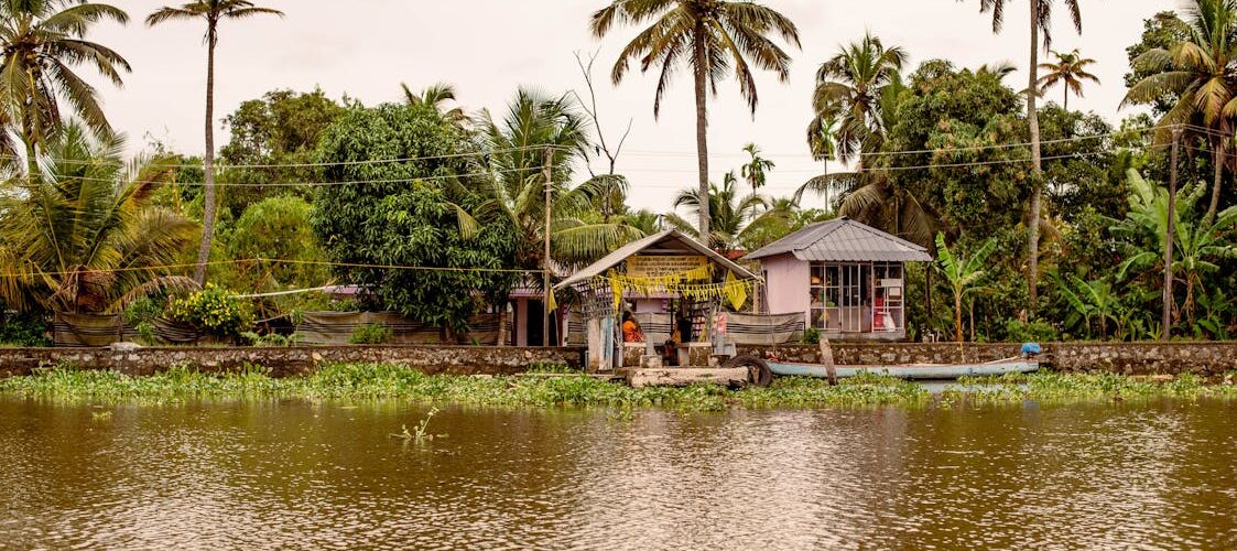 Backwaters du Kerala bordés de cocotiers et maisons traditionnelles, Inde du Sud