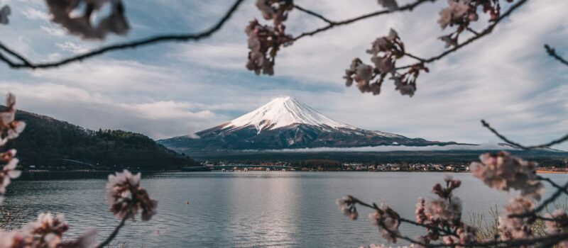 Volcans, cerisiers et créatures sacrées : le Japon naturel