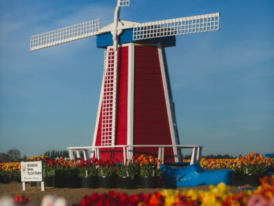 Koningsdag, Sinterklaas et gezelligheid : les traditions qui font les Pays-Bas