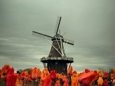 Champs de tulipes, polders et îles frisonnes : la nature néerlandaise, plate mais jamais monotone