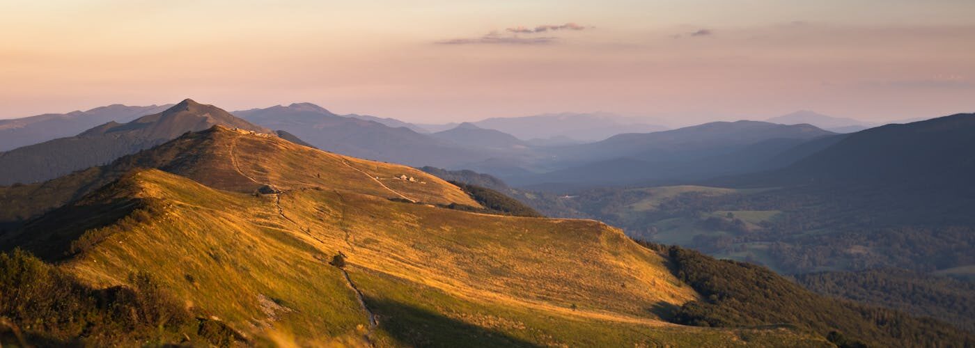 Paysage verdoyant des montagnes Bieszczady en été, Pologne