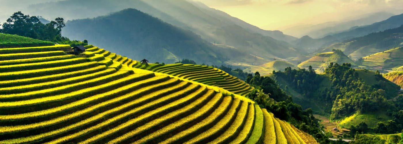 Rizières en terrasses dans les montagnes du Nord du Vietnam