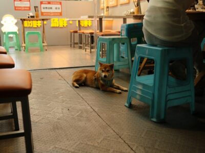 Chengdu