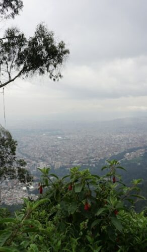 Bogotá