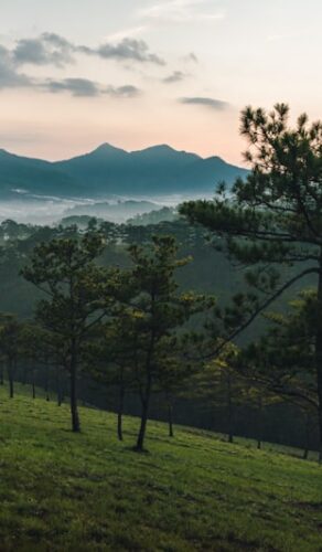 Da Lat
