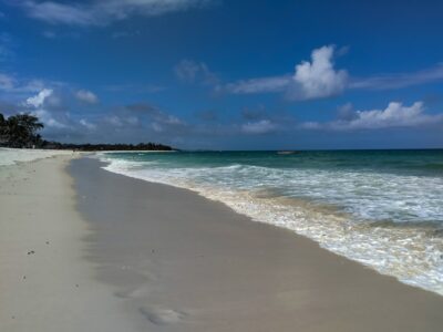 Diani