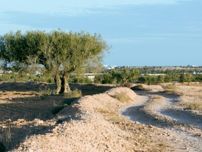 Djerba
