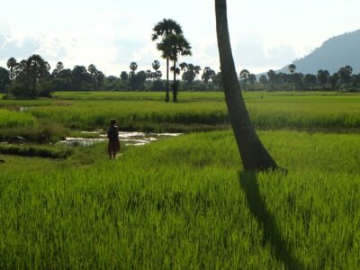 Kampot