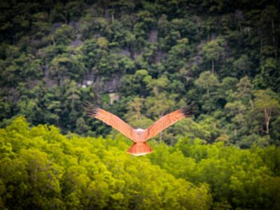 Langkawi