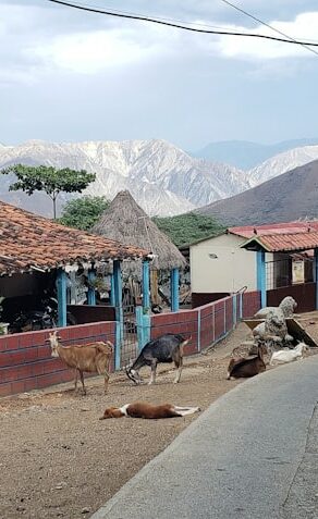 San Cristóbal de las Casas
