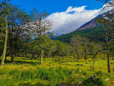 Ushuaia