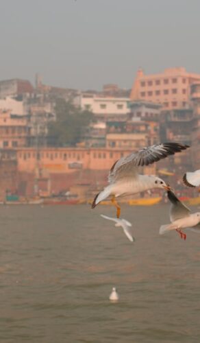 Varanasi
