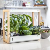indoor-growing-systems